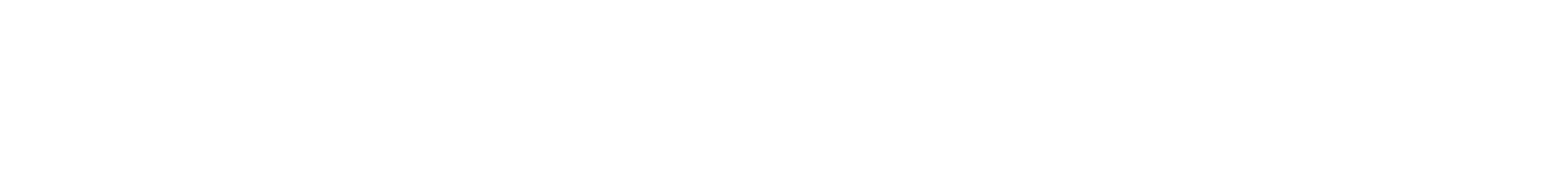 DN Store